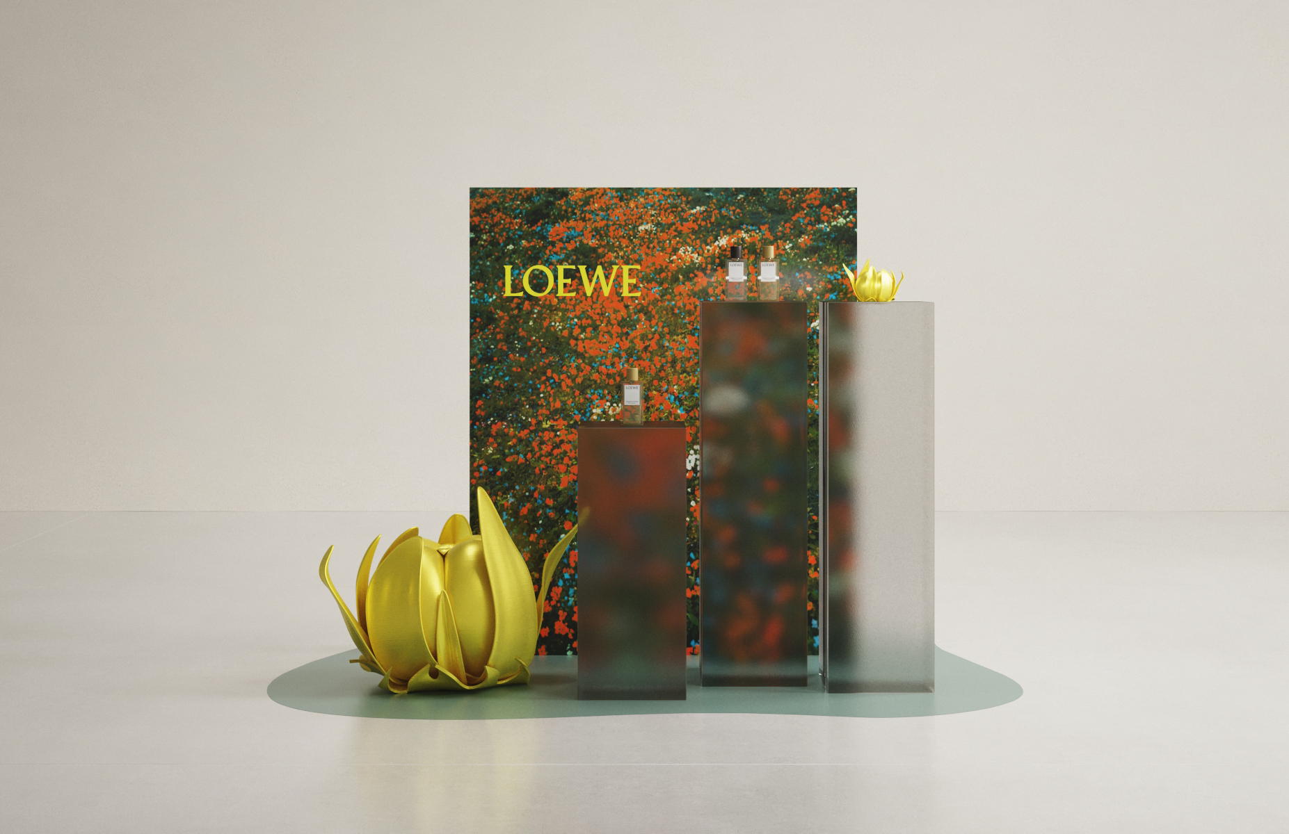 Loewe Evergreen